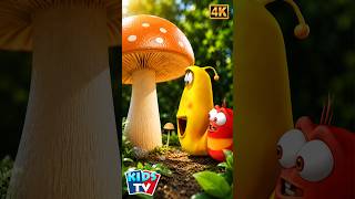🍄 Larva Houba #viralshorts #VideaProDěti #KreslenýFilm #larva #mushroom