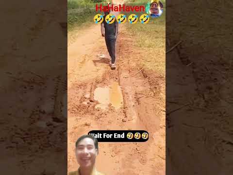 entertainment lost treasure🤣