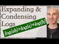Logarithmic Expressions and Their Properties