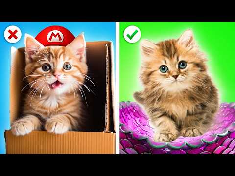 O Super Mario Salvou Um Gatinho de Rua! Truques Incríveis & Maquiagem de Sereia por Kaboom Energy!