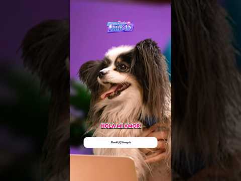 Andrés trajo a su perrito Gastón y perdimos a Coté 💖🤠