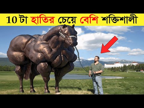 ৮ টি শক্তিশালী প্রাণী - যা দেখার জন্যও কপাল লাগে || 8 Most Strongest Animals In The World