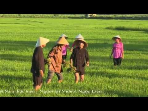 Le Thuy Ho Khoan Folk Song