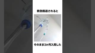 夜枕ギリーに関する雑学 #shorts #VTuber #セルフ解説