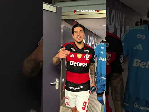 image para ilustrar o artigo