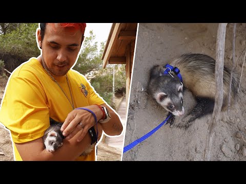 FUIMOS POR PRIMERA VEZ A LA PLAYA CON NUESTRA BEBÉ HUMITA !!