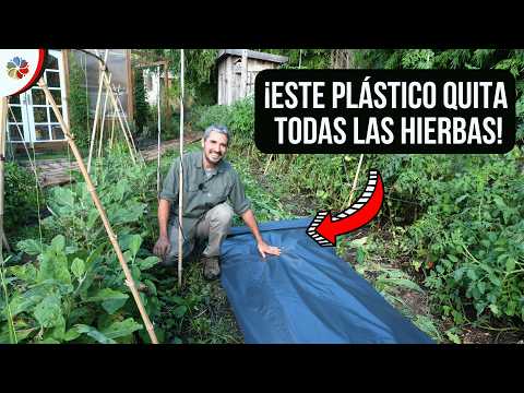 🌱 El MÉTODO del PLÁSTICO NEGRO: Elimina TODAS las HIERBAS y recupera tu HUERTO o JARDÍN