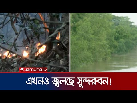 ‘ফায়ার সার্ভিস চেষ্টা করছে কিন্তু আগুন নিয়ন্ত্রণে আসার সম্ভাবনা নেই’ | Sundarbans Fire | Jamuna TV