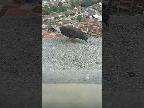 13 September 2025 #automobile #lifeisbutadream #whowillbemylifepartnerta