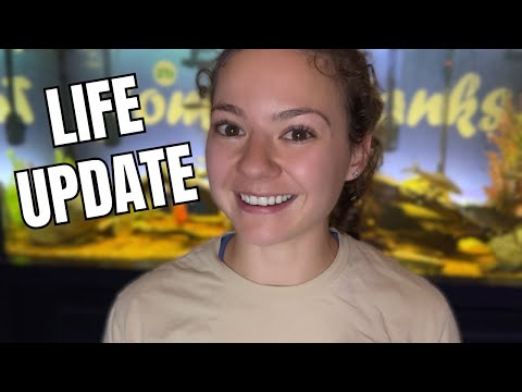 Why I stopped posting videos? + Aquarium & pond up A lot has changed over the last few months since my last post. Here is a complete update of all the 