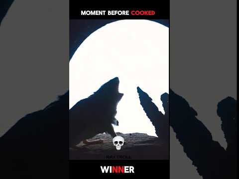 winner...!