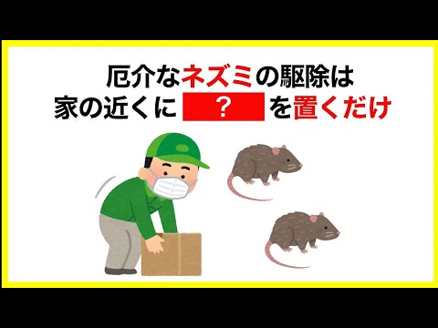 【聞き流し】いつも役立つ雑学【ウォシュレット掃除・ネズミ駆除】