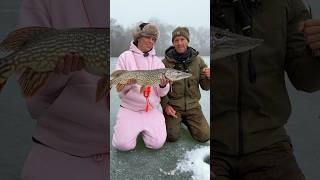 JAKÁ JE VAŠE OBLÍBENÁ BARVA? 🦩