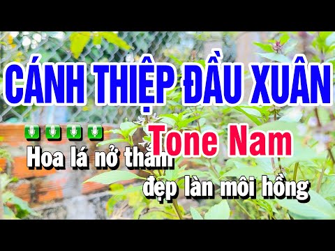 Karaoke Cánh Thiệp Đầu Xuân Nhạc Sống Tone Nam | Beat Huỳnh Anh