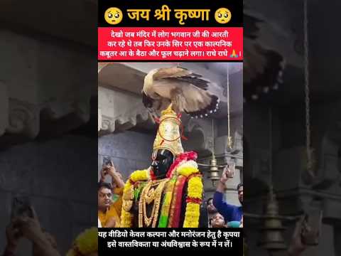 मंदिर में आरती करते समय एक काल्पनिक कबूतर आया 🥺 #mahadev #shorts