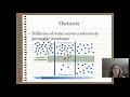 Exploring Diffusion and Osmosis Concepts