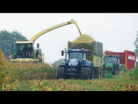 Mais Silage 2024 | Krone BiG X 630 + New Holland + John Deere | Nikkels