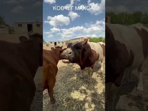 13 июля 2025 г.