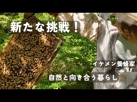ついに始動!養蜂家と自然暮らしへの挑戦【衝撃の出会い】#36