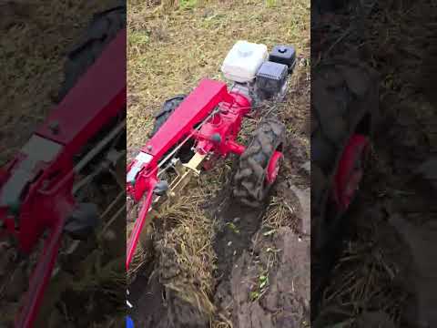 Мотоблок Беларус это всегда праздник. #агротехнологии #automobile #farming #трактор #тракторспб