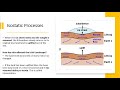 Isostatic Uplift and River Dynamics