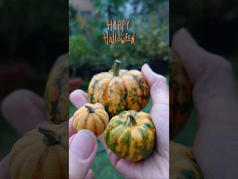 可愛いハロウィン筆文字アート🎃 #halloween #art #筆文字