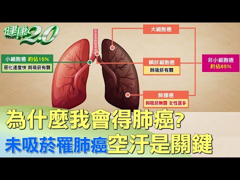 為什麼我會得肺癌？ 未吸菸罹肺癌空汙是關鍵 健康2.0