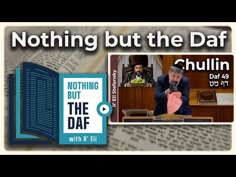 CHAZARAH - Chullin Daf 49 | "Nothing but the Daf" with R' Eli Stefansky