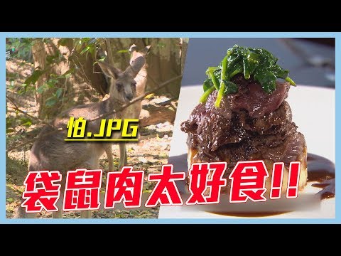 【袋鼠肉～媲美牛肉的稀奇野味？！】愛玩客 精華(ENG subtitle)