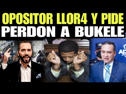 OPOSITOR LO ACEPTO TODO LLOR4 Y LE PIDE PERDON A NAYIB  BUKELE Y REGRESARA MILES DE DOLARES