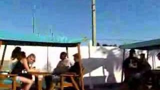 Swinging Tables at Rib Daddy's