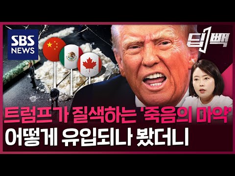 관세폭탄 때려도 콸콸 쏟아지는 '죽음의 마약'?...트럼프가 질색하는 펜타닐, 어떻게 유입되나 봤더니 (2.7 방송) / SBS / 딥빽