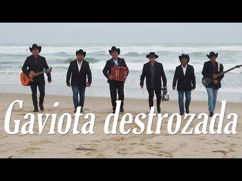 GAVIOTA DESTROZADA - DELIRIO NORTEÑO