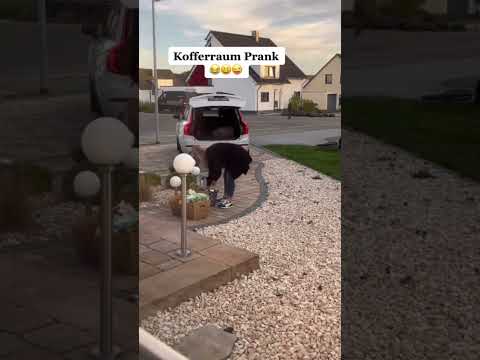 Sie wusste nicht, dass ich zu Hause bin 🤭😂#sveniundnicki #prank #couple #humor #lustigevideos