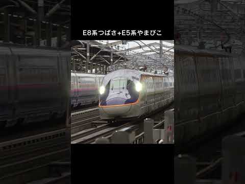 山形新幹線 E8系つばさ+東北新幹線 E5系やまびこ