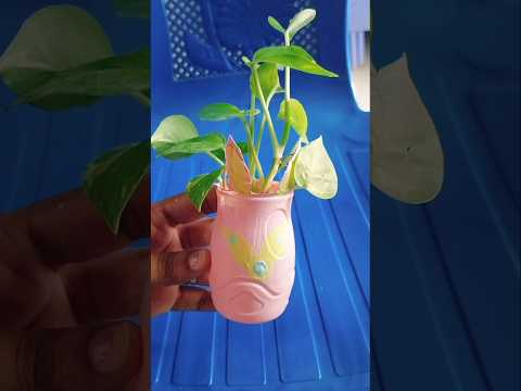 bottle crafting #trending #shorts #viralvideo #ytshorts #shortsfeed #craftideas