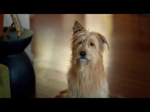 amazon.co.uk & Amazon Promo Codes video: Low prices. Anytime, anywhere.