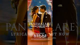 #Panimalare Song #Kaantha #DulquerSalaman #BhagyashriiBorse #ShortVideo #YtShorts #TamilShorts