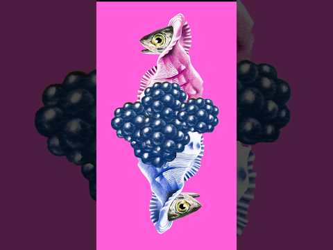 Charisma.com【JMP】 #charismadotcom #electronicmusic #jpop #techno #newmusic #jump