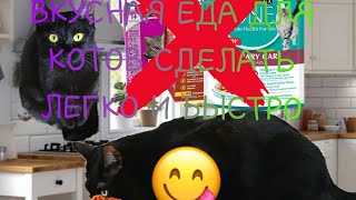 Полезная еда для котов-еда для котов-сдевать дома