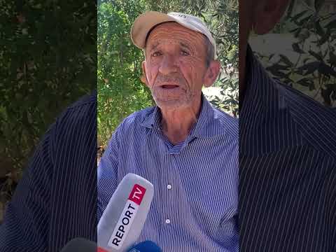 Ujku ‘zbret’ në Lushnjë dhe bën ‘kërdinë’, ha 68 krerë dele e dhi! Fermeri: Me ato ushqeheshim