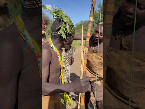 Where the earth provides and the tribe endures😳🌿😊😂 #africa #animals #wildlife #nature #usa