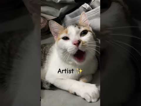 Art happens🥹 #cat #catlover #cute #furry #meow #artist