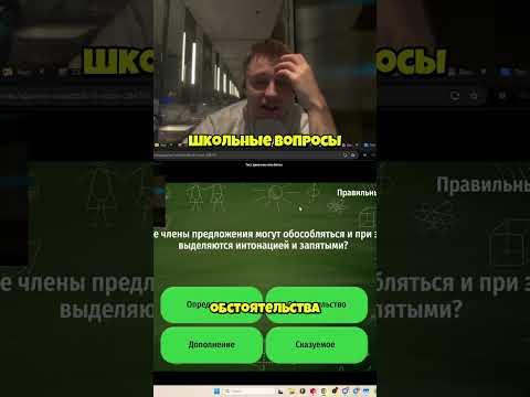 #стинт #стинтик #stint #stintik #твич #стрим #стример
