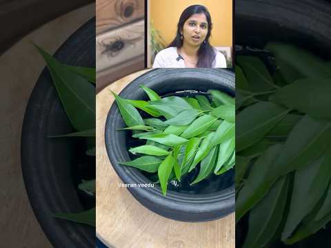 🌿Mudi kottudha? Best remedy for hair problems/curryleaf,ginger moor #haircare #viral #shorts