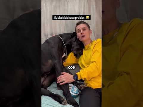 My dog has dandruff and women love it