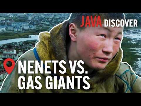 Meet the Indigenous Nenet People Fighting Against Russian Gas Giants | @JavaDiscover Documentary