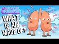 Understanding Air Composition