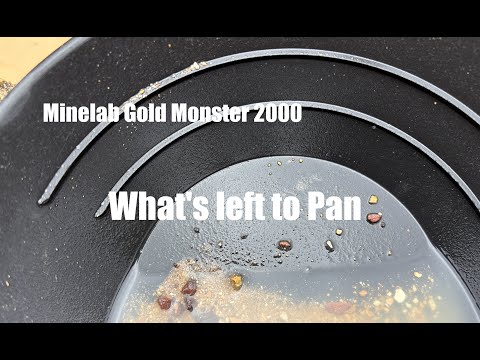 Minelab Gold Monster 2000 - What's Left to Pan