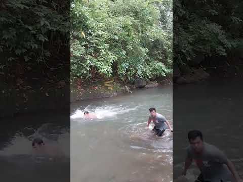 omg big snake in the river